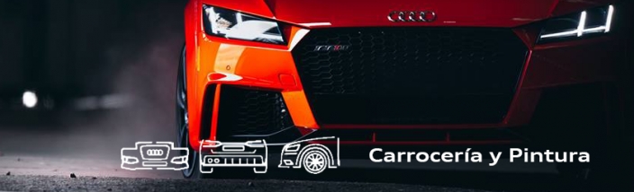 Servicios de Carrocería y Pintura Rápida