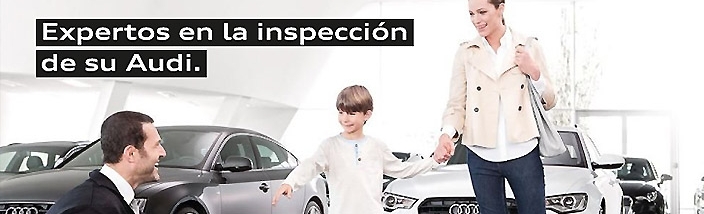 No busque un experto para su Audi. Está aquí.