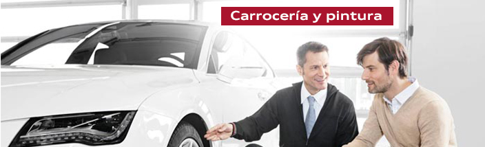 Servicios de Carrocería rápida Audi