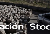 ¡Liquidación stock Audi!