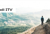 Servicio Audi ITV