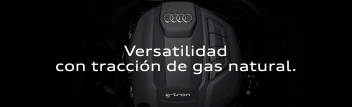 Audi g-tron