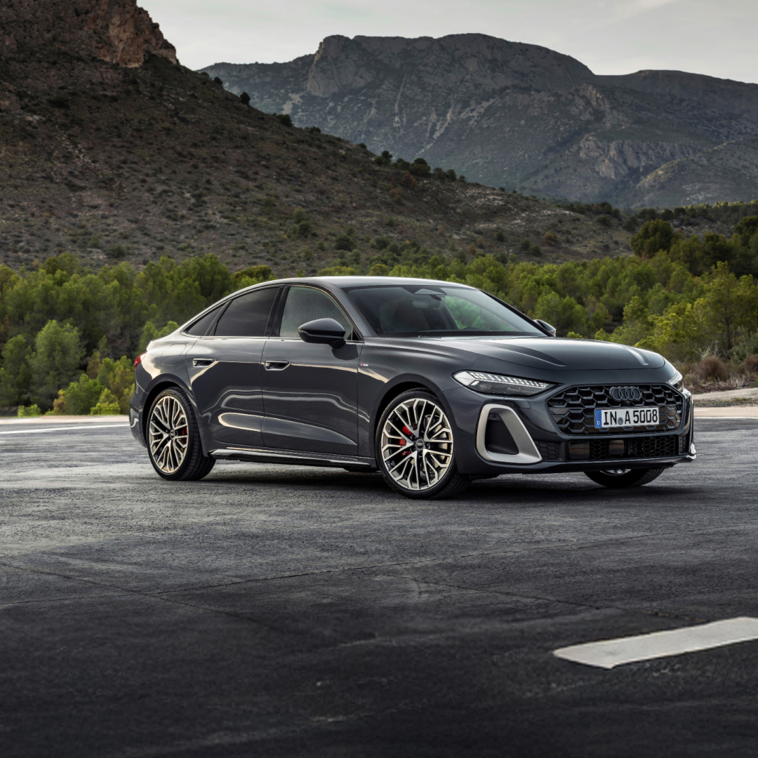 Descripción de la imagen