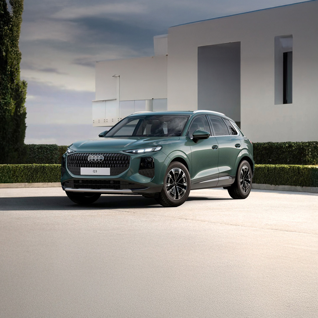 Descripción de la imagen