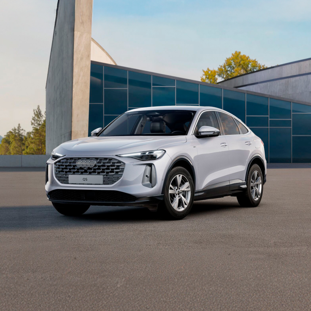 Descripción de la imagen