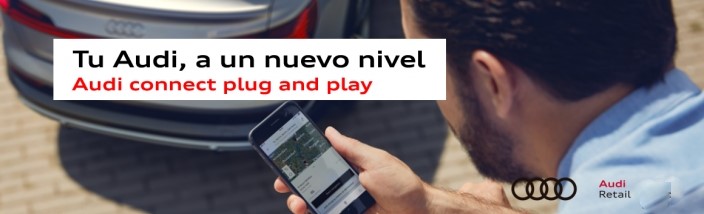 Audi connect plug and play